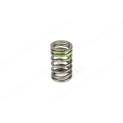 VALVE SPRING Outer (green) VALVE SPRING Outer (green)
