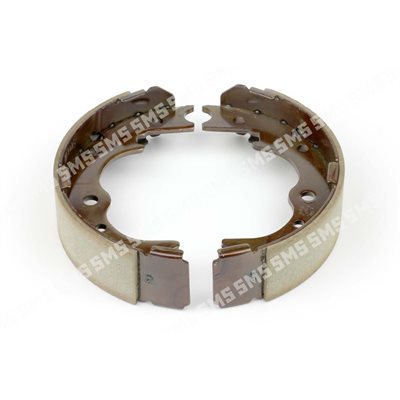 PARK BRAKE SHOE ASSY