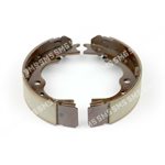 PARK BRAKE SHOE ASSY