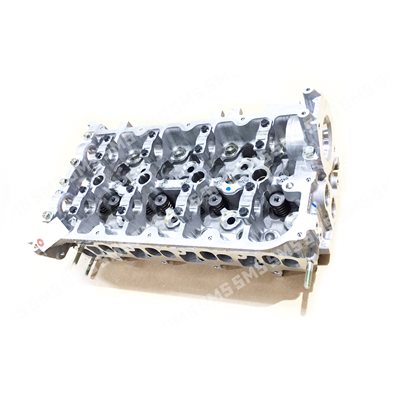 CYLINDER HEAD Complete (Less Camshaft / Rockers)