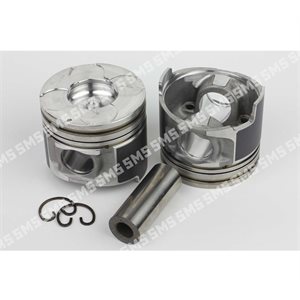 PISTON + PIN (Common Rail 46.20mm Bowl dia) Std