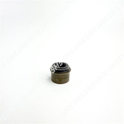 SEAL Valve Stem