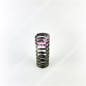 VALVE SPRING Outer