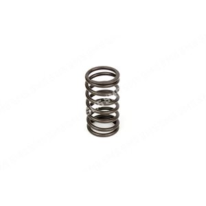 VALVE SPRING Inner