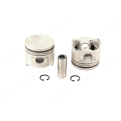 PISTON + PIN ->5 / 1998 Std