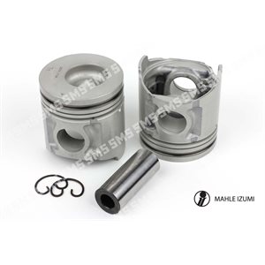 PISTON + PIN Industrial (66mm bowl) Premium