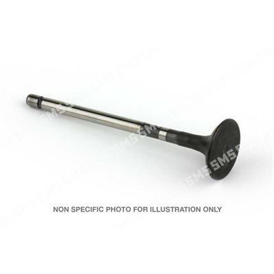 VALVE Exhaust (31mm head)
